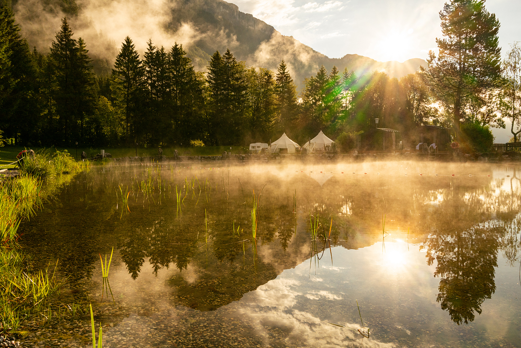 Morgenstimmung am Badeteich